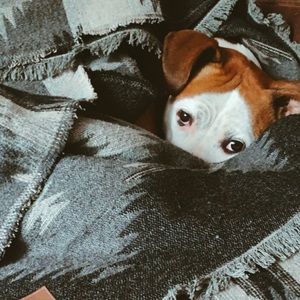 Meet your Posher, Sage